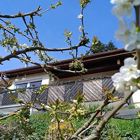Ferienwohnung Zum Maerchenwald Bergfreiheit Exteriér fotografie
