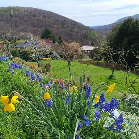 Ferienwohnung Zum Maerchenwald Bergfreiheit Exteriér fotografie