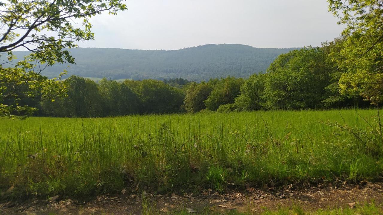 Ferienwohnung Zum Maerchenwald Bergfreiheit Exteriér fotografie