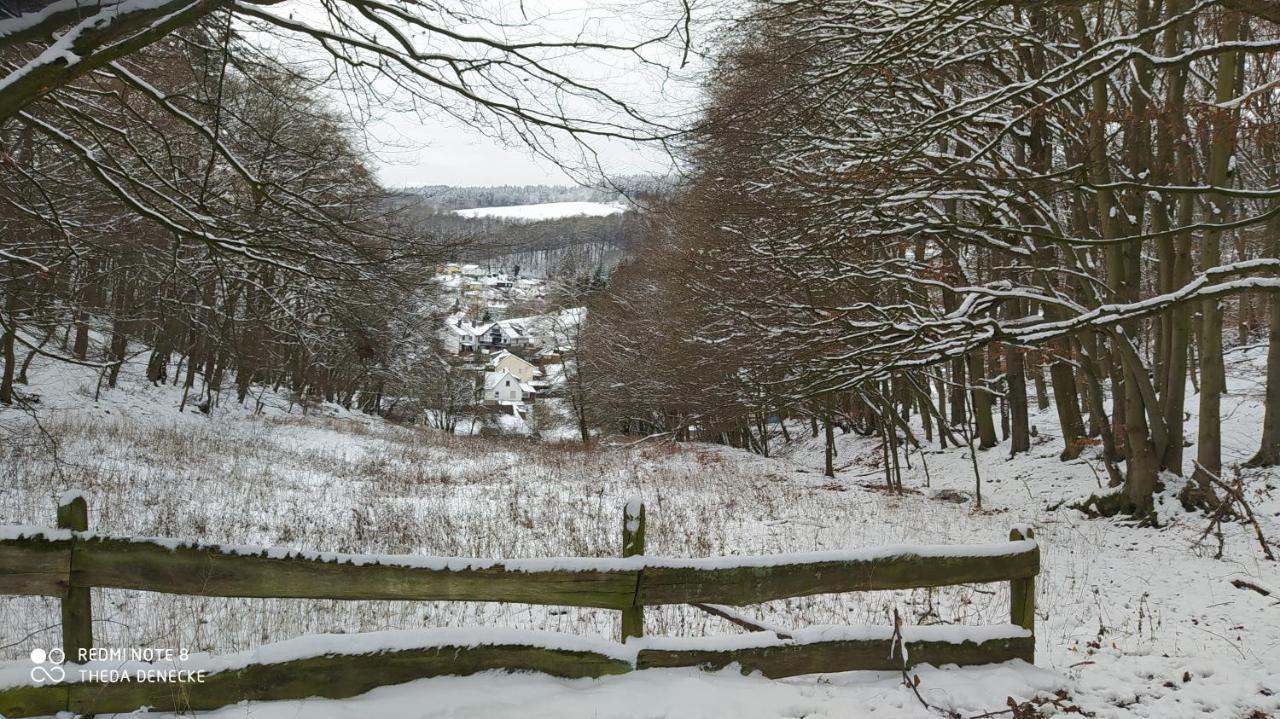 Ferienwohnung Zum Maerchenwald Bergfreiheit Exteriér fotografie