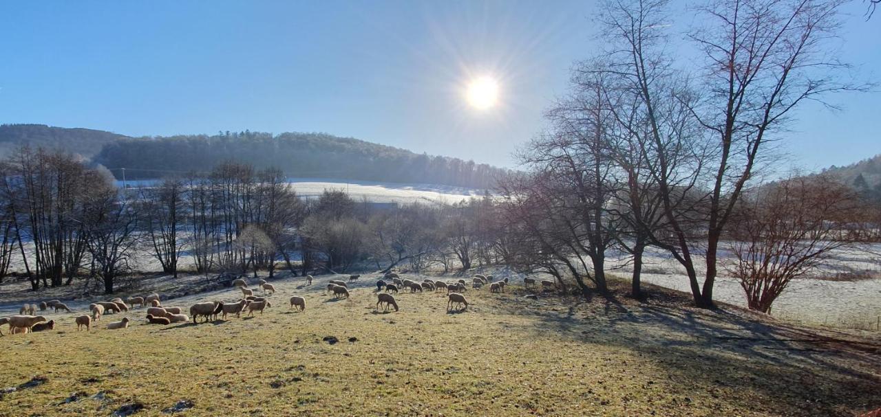 Ferienwohnung Zum Maerchenwald Bergfreiheit Exteriér fotografie