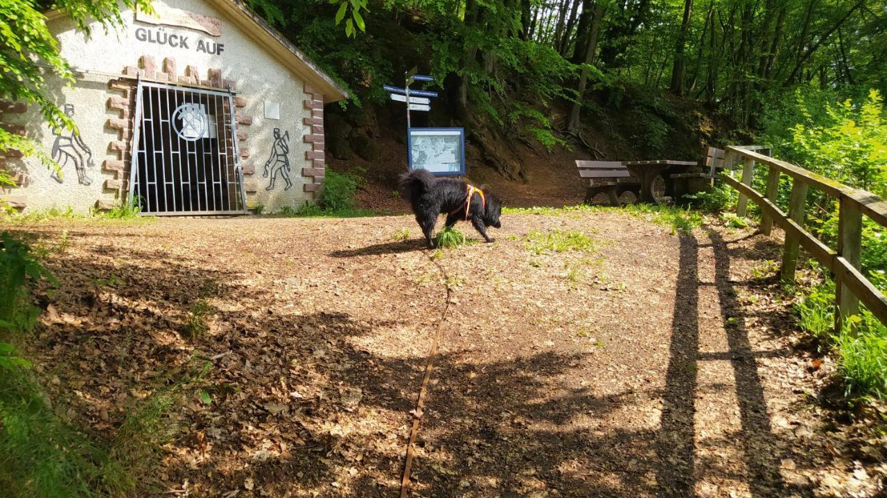 Ferienwohnung Zum Maerchenwald Bergfreiheit Exteriér fotografie