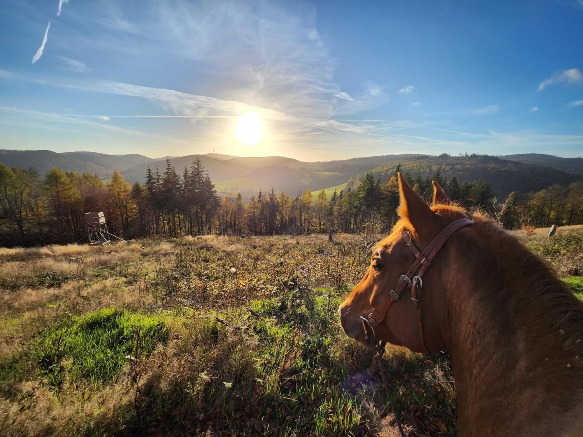 Ferienwohnung Zum Maerchenwald Bergfreiheit Exteriér fotografie