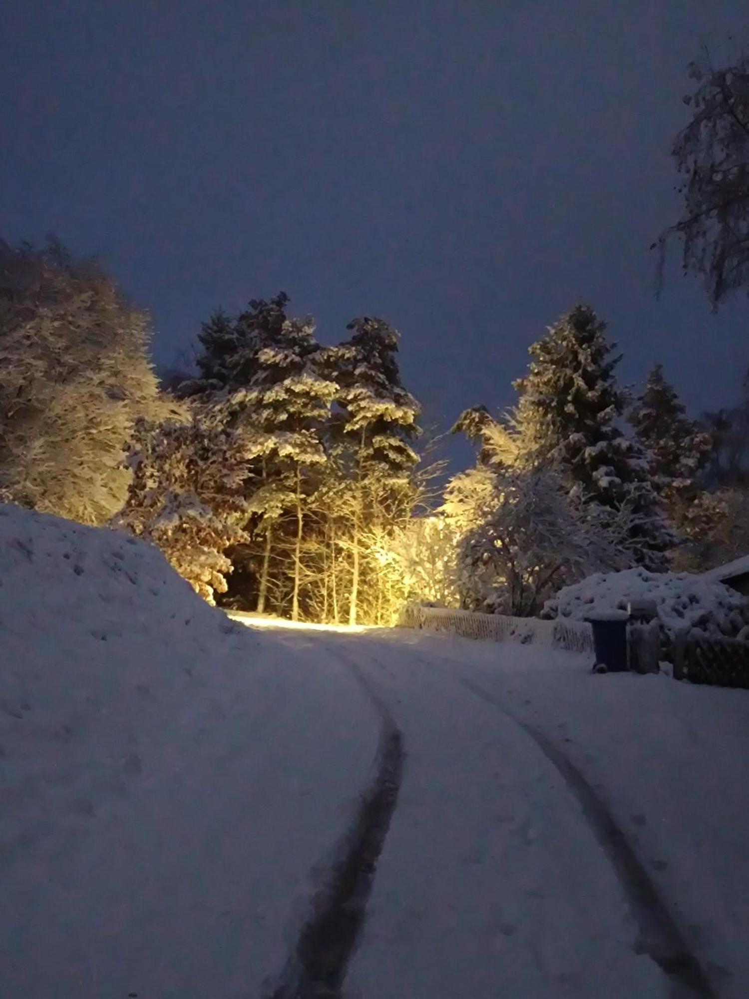 Ferienwohnung Zum Maerchenwald Bergfreiheit Exteriér fotografie