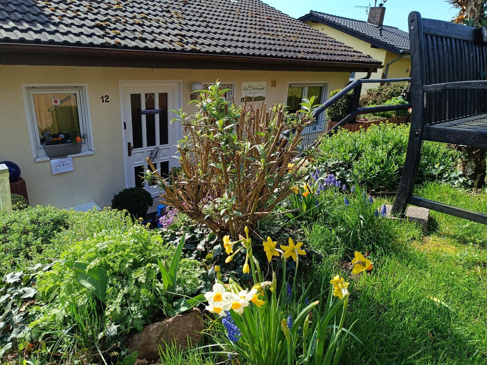 Ferienwohnung Zum Maerchenwald Bergfreiheit Exteriér fotografie