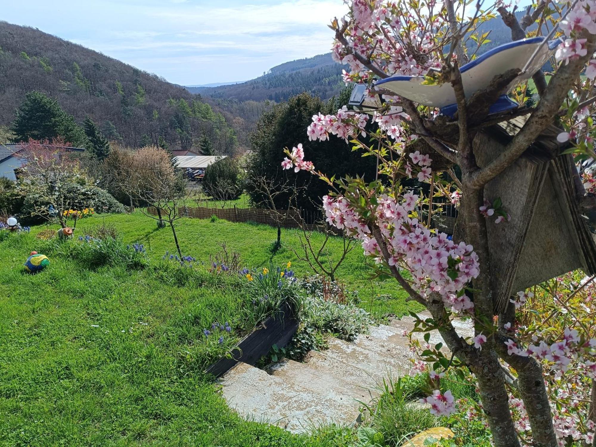 Ferienwohnung Zum Maerchenwald Bergfreiheit Exteriér fotografie